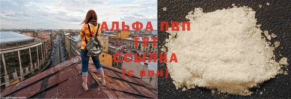 винт Аркадак