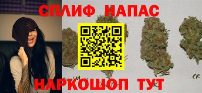 ГАЛЛЮЦИНОГЕННЫЕ ГРИБЫ Кимры