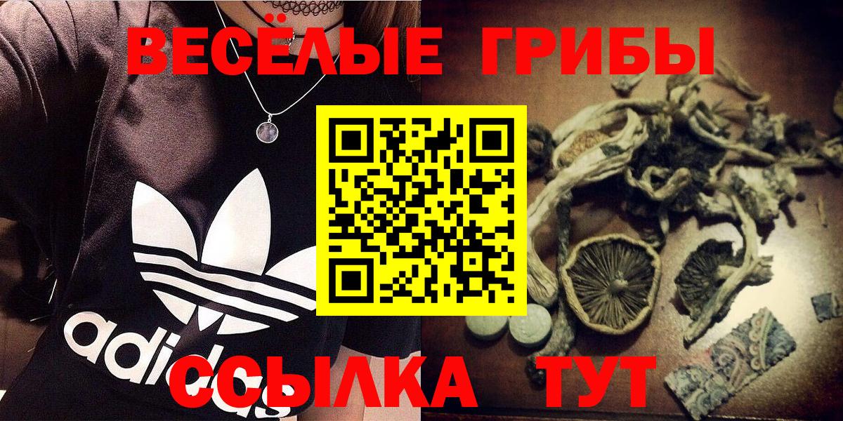 Галлюциногенные грибы мухоморы  Псилоцибиновые грибы мицелий  Вход с VPN  Феодосия 